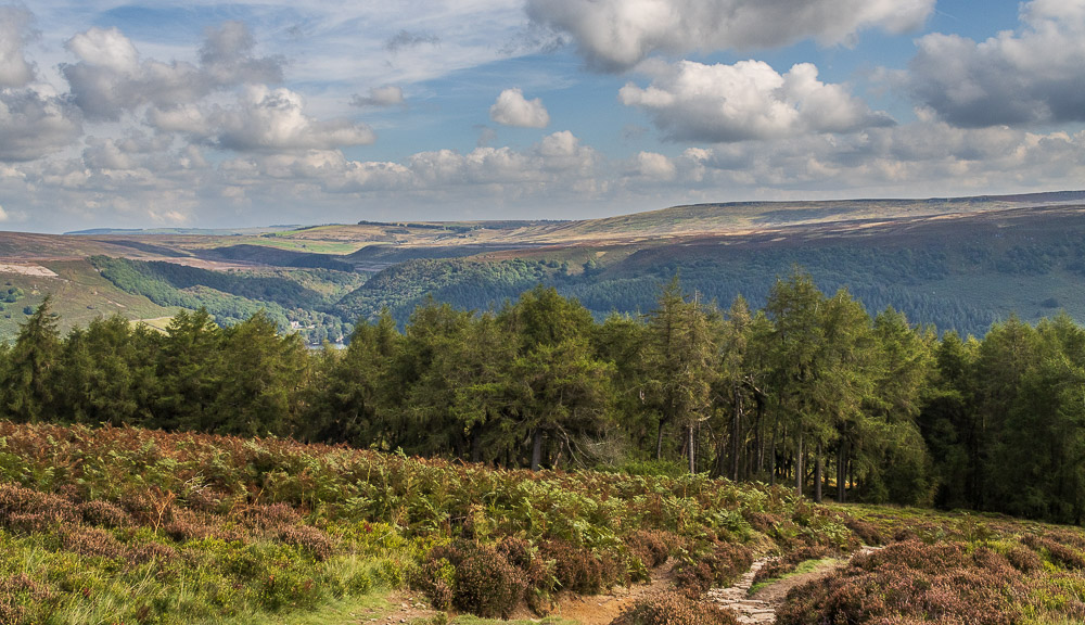 Ughill Moor Ughill Moor